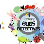 EB do Taralhão e EB N.º1 de Gondomar: Participação no projeto e-twinning “Bugs Detectives”