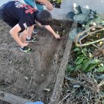 Horta biológica – Um projeto multidisciplinar