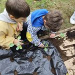 Novidades do JI de Aguiar